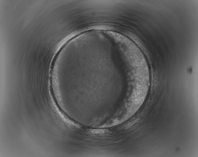 X0000114620853200912010959