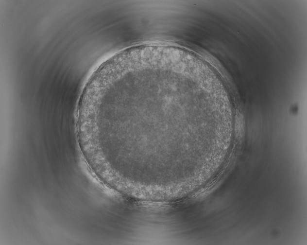 X0000114620856200912010959