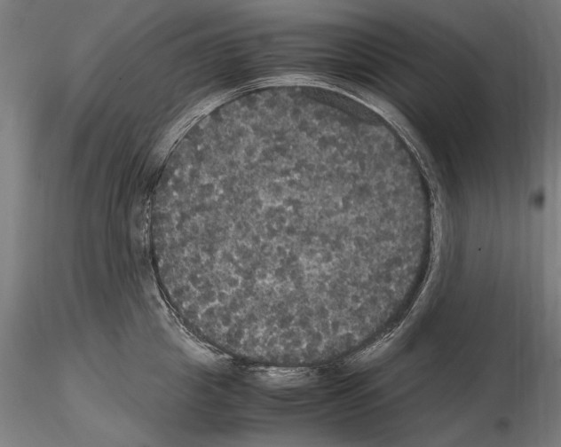 X0000114620857200912010959