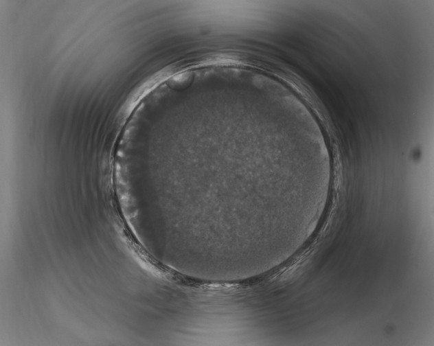 X0000114620858200912010959