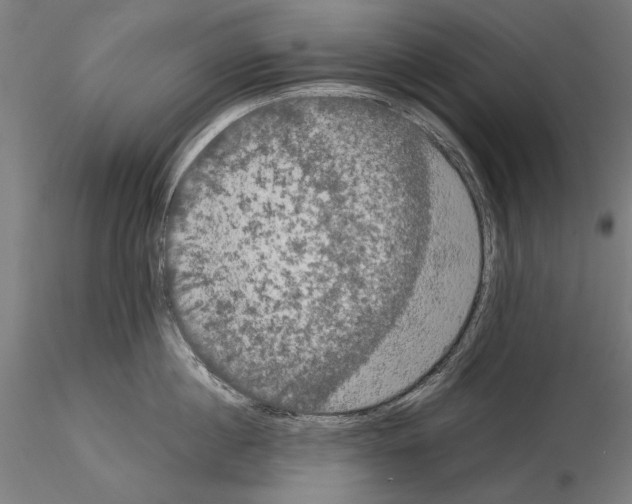 X0000114620860200912010959