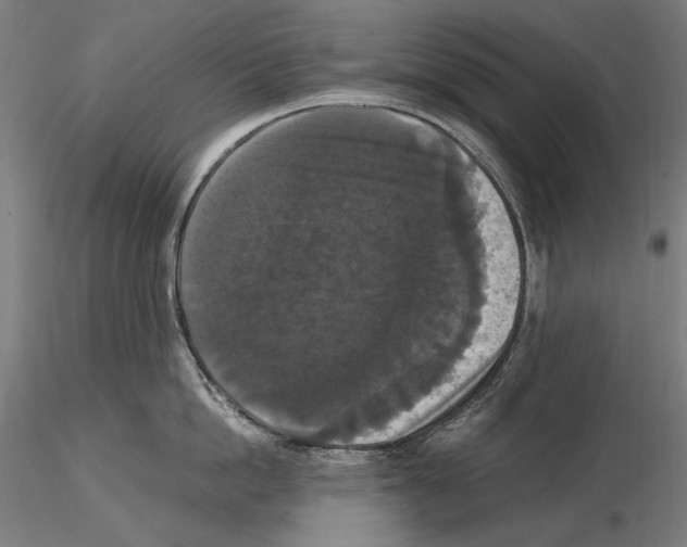 X0000114620862200912010959