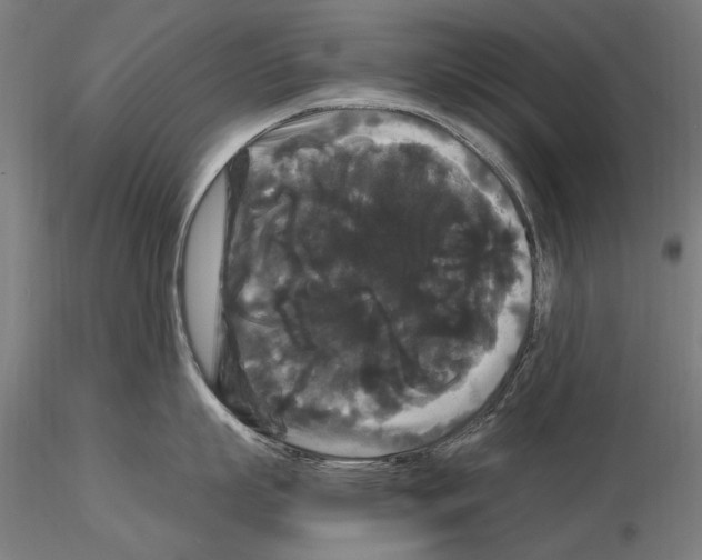 X0000114620863200912010959