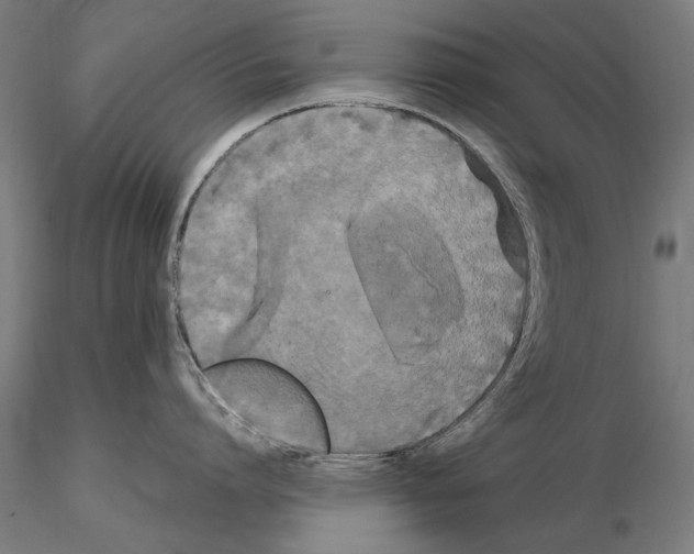 X0000114620864200912010959