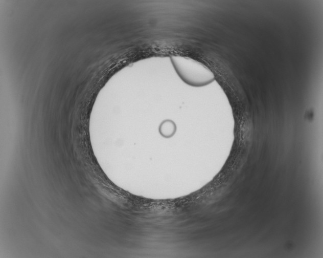 X0000114620865200912010959