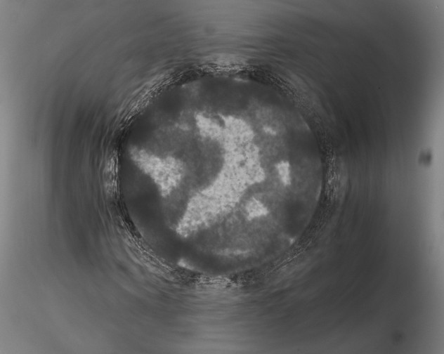 X0000114620866200912010959