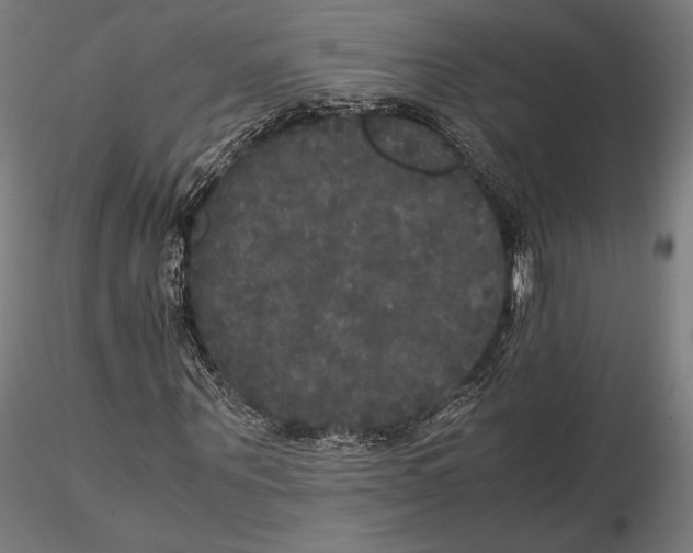 X0000114620867200912010959