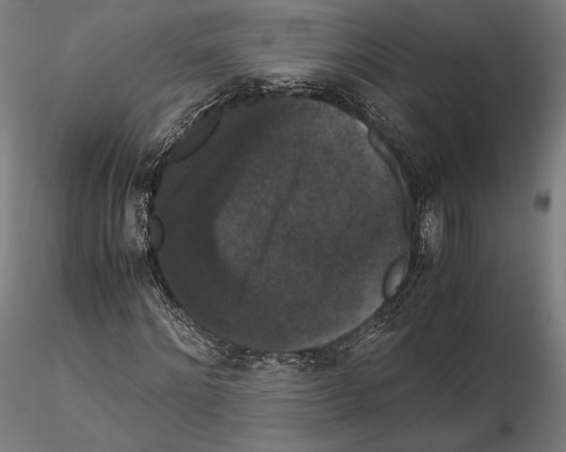 X0000114620868200912010959