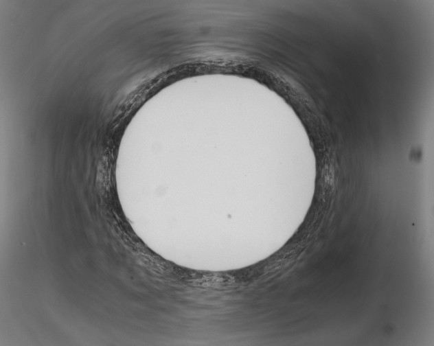 X0000114620869200912010959