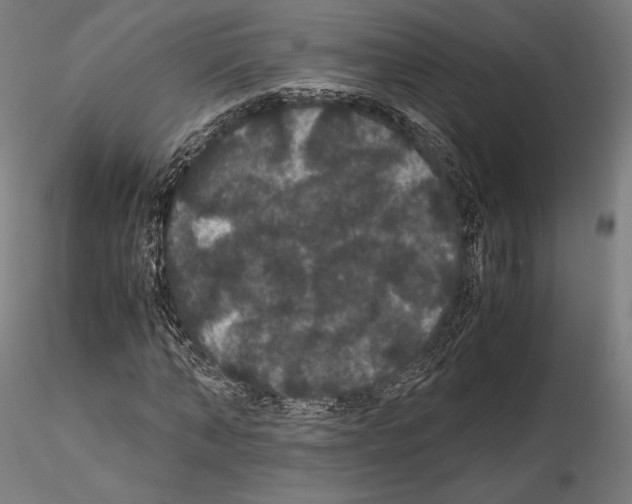 X0000114620870200912010959