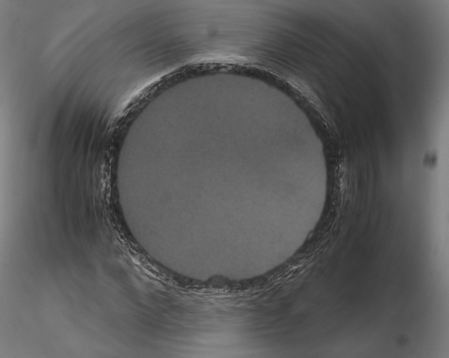 X0000114620872200912010959