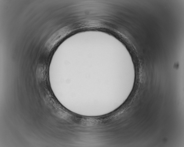 X0000114620873200912010959