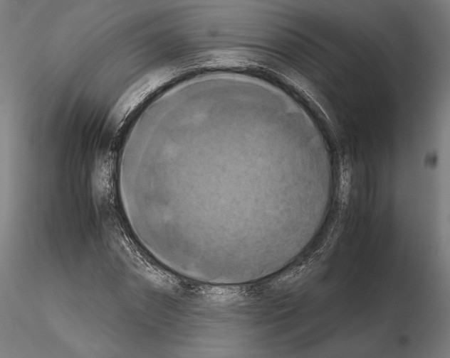 X0000114620874200912010959