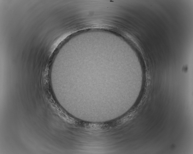 X0000114620875200912010959