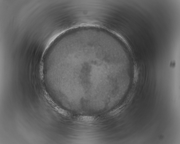 X0000114620878200912010959