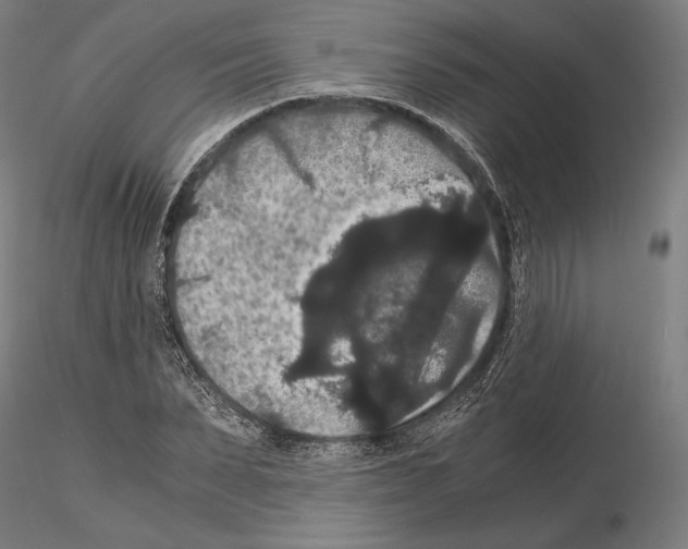 X0000114620879200912010959