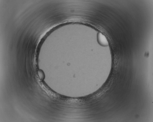 X0000114620880200912010959