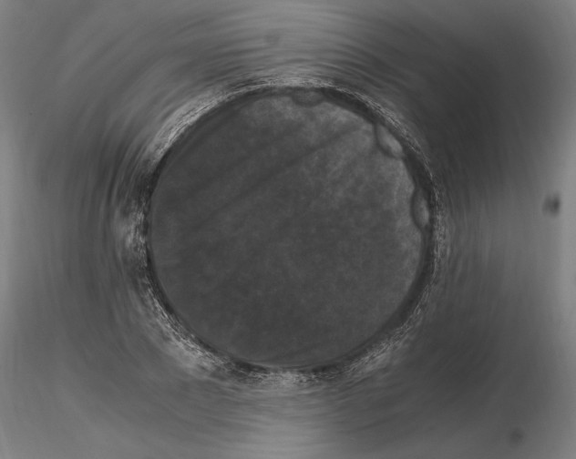 X0000114620881200912010959