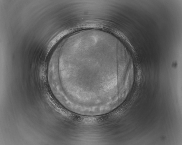 X0000114620882200912010959