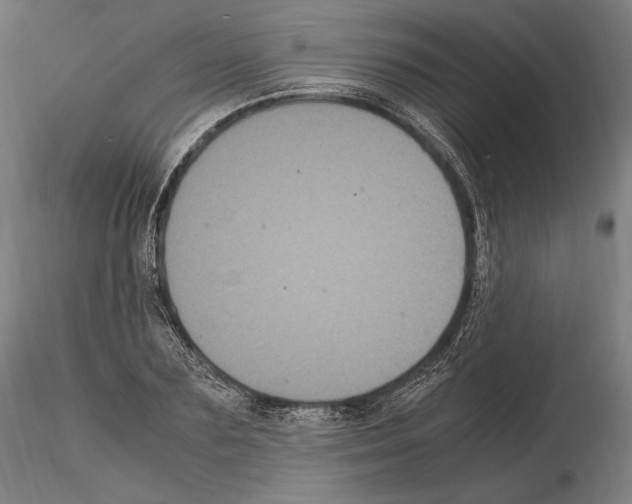 X0000114620883200912010959