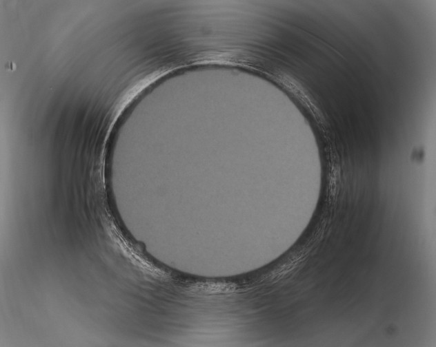 X0000114620884200912010959