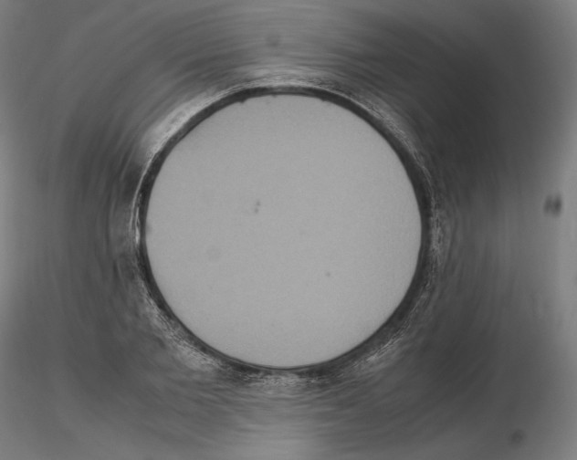 X0000114620885200912010959