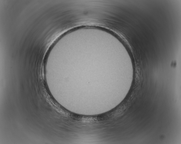 X0000114620887200912010959