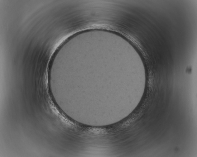 X0000114620888200912010958