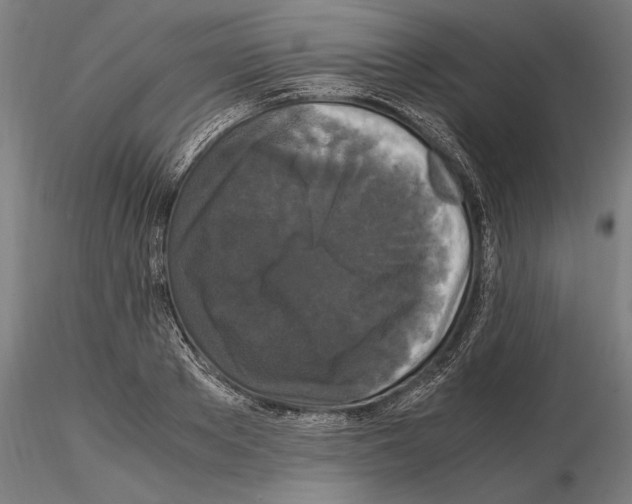 X0000114620889200912010958