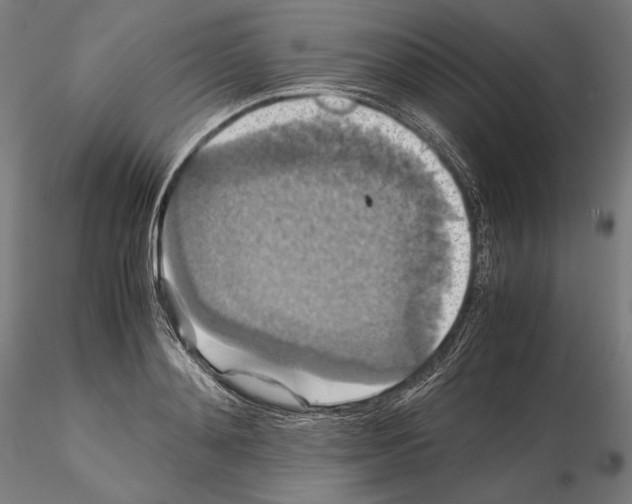 X0000114620892200912010958