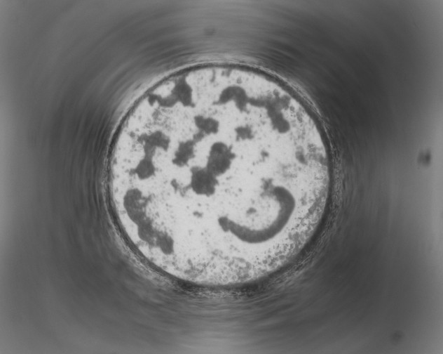 X0000114620895200912010958