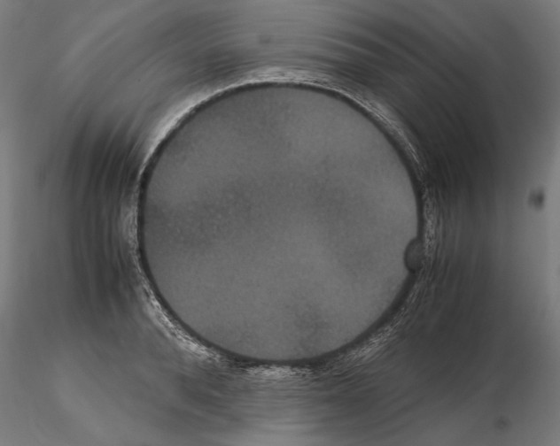 X0000114620896200912010958