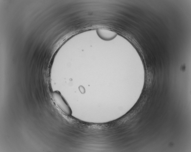 X0000114620898200912010958