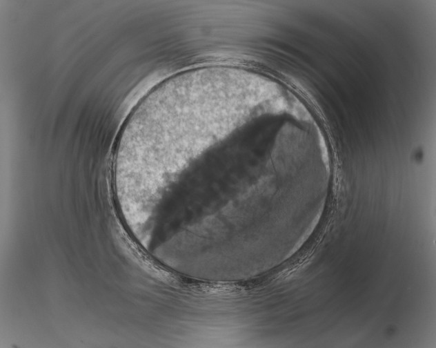 X0000114620899200912010958