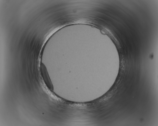 X0000114620900200912010958