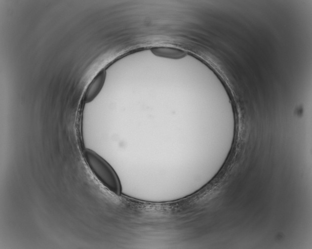 X0000114620901200912010958