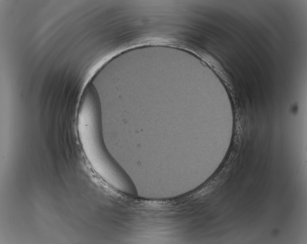 X0000114620904200912010958