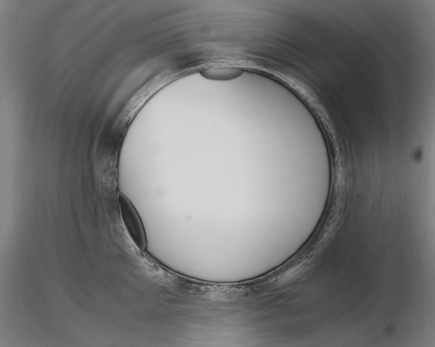 X0000114620905200912010958