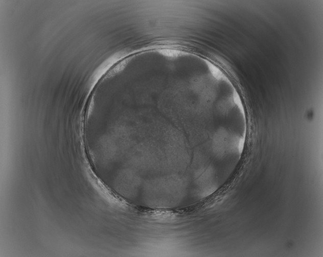 X0000114620907200912010958