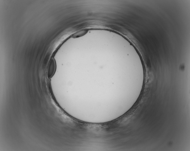 X0000114620909200912010958