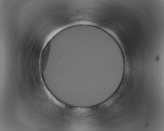 X0000114620910200912010958