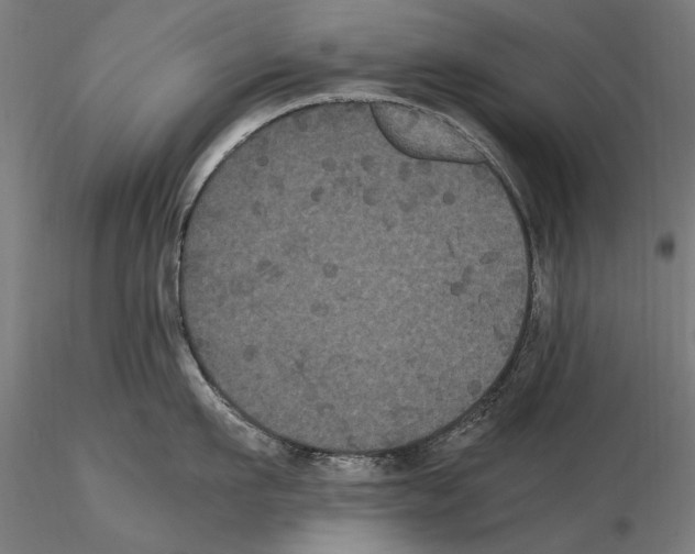 X0000114620911200912010958