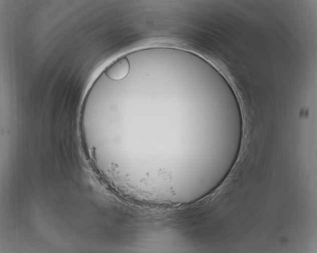 X0000114620912200912010958