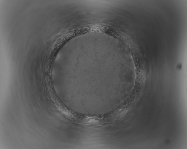 X0000114620913200912010957