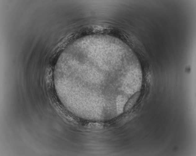 X0000114620914200912010957