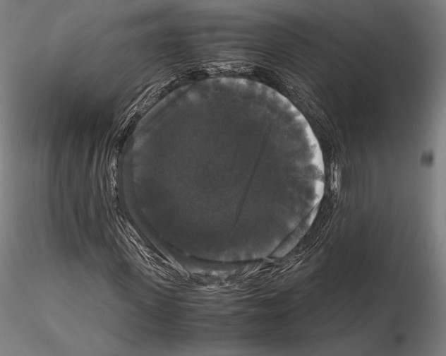 X0000114620915200912010957