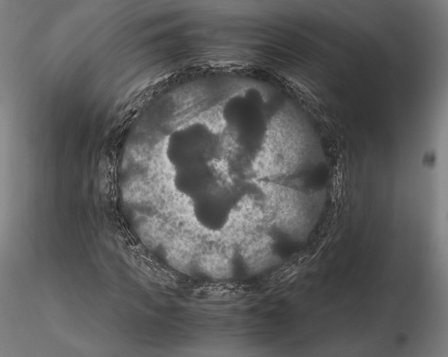 X0000114620917200912010957