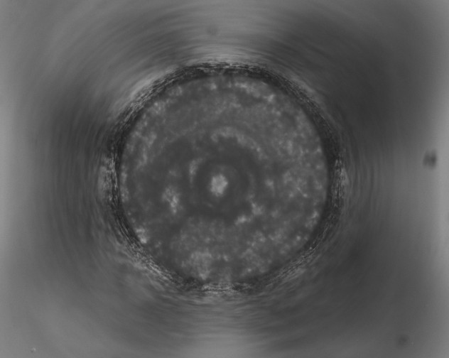 X0000114620918200912010957