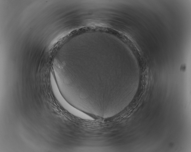 X0000114620919200912010957