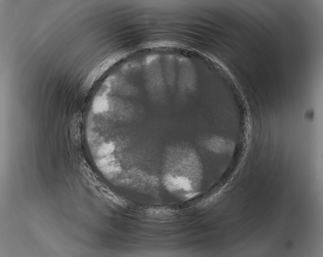 X0000114620921200912010957